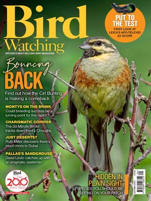 cover image of Bird Watching 